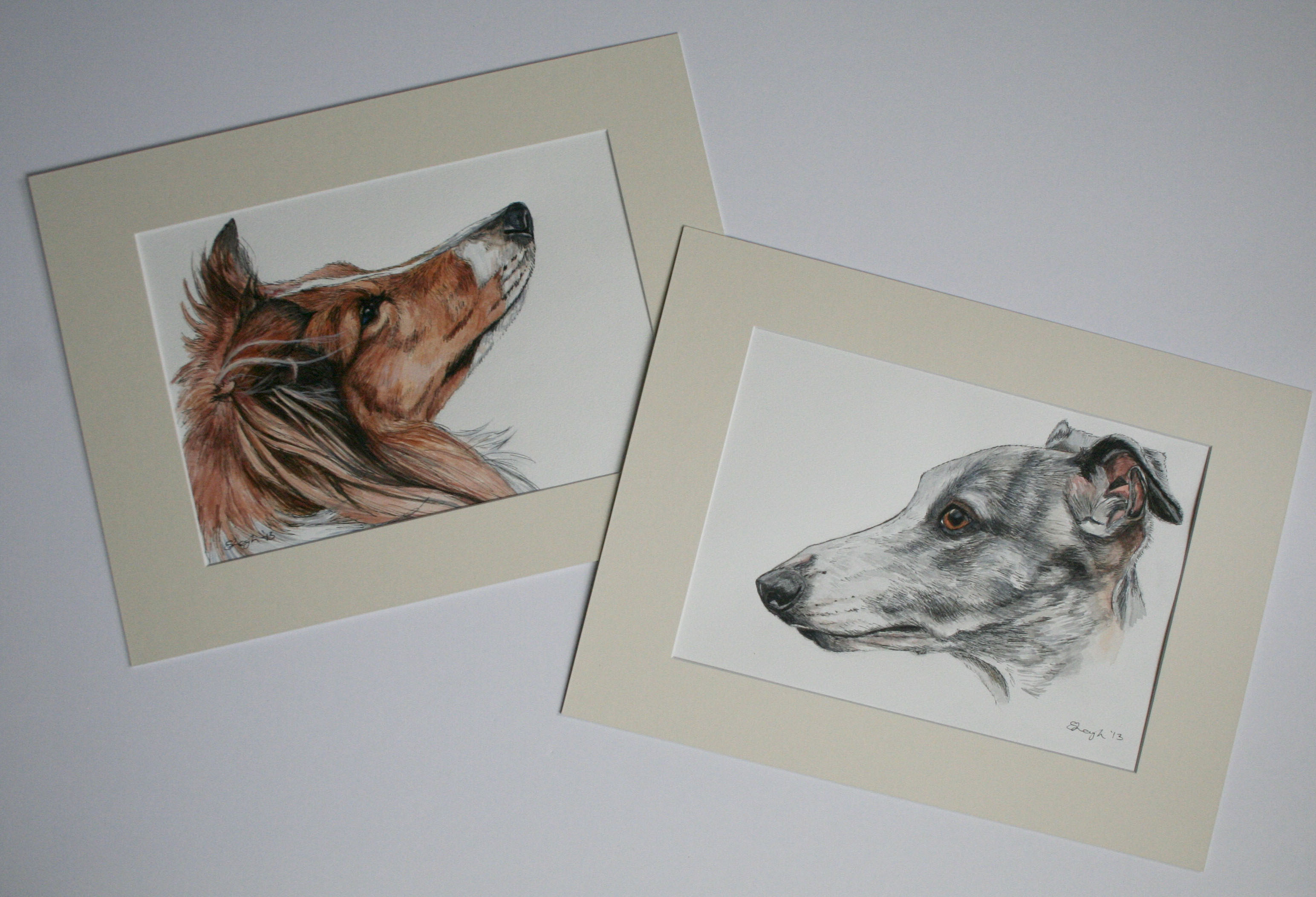 Pet Portraits Pet Portrait Artist UK Sarahs Pet Portraits