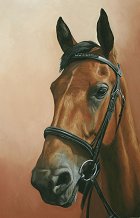 Splash, pastel horse portrait