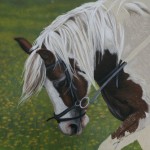 Horse portrait Dylan