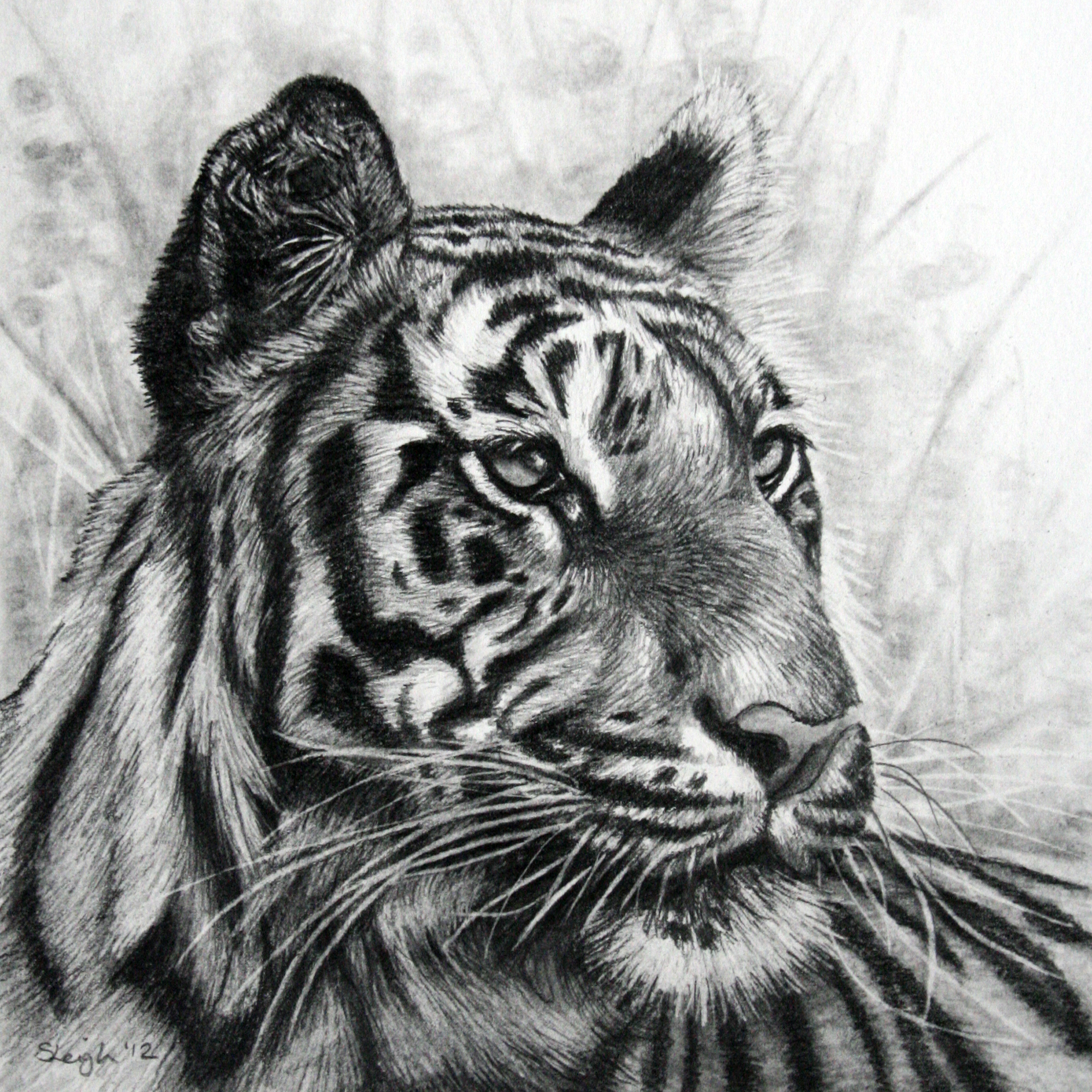 News | Sarahs Pet Portraits