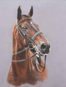 horse portrait, horse portraits, horse painting, horse paintings, pet portrait, pet portraits, pet paintings, pet painting, equine portrait, equine portraits, equine painting, equine paintings, equine artist, horse portrait in pastel, pastel horse portrait