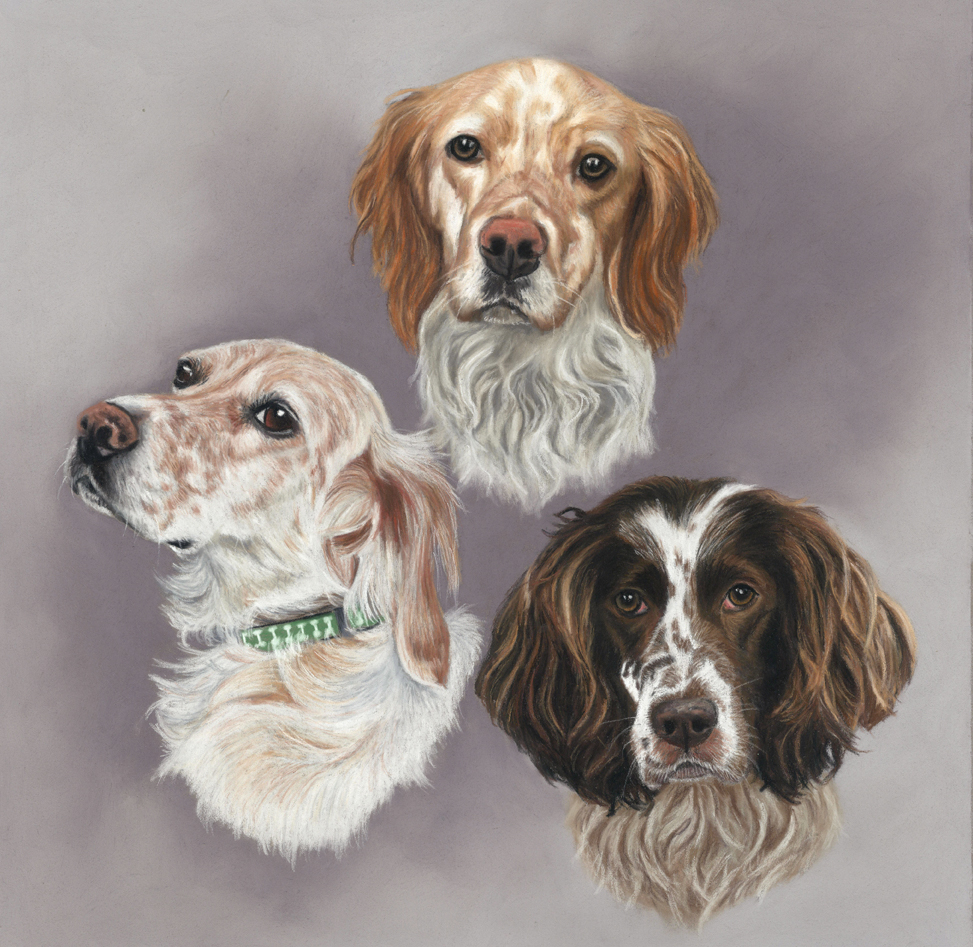 Been so busy! Sarahs Pet Portraits