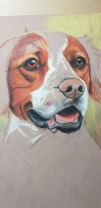 Dog portrait progress photo, pet portrait progress photo 