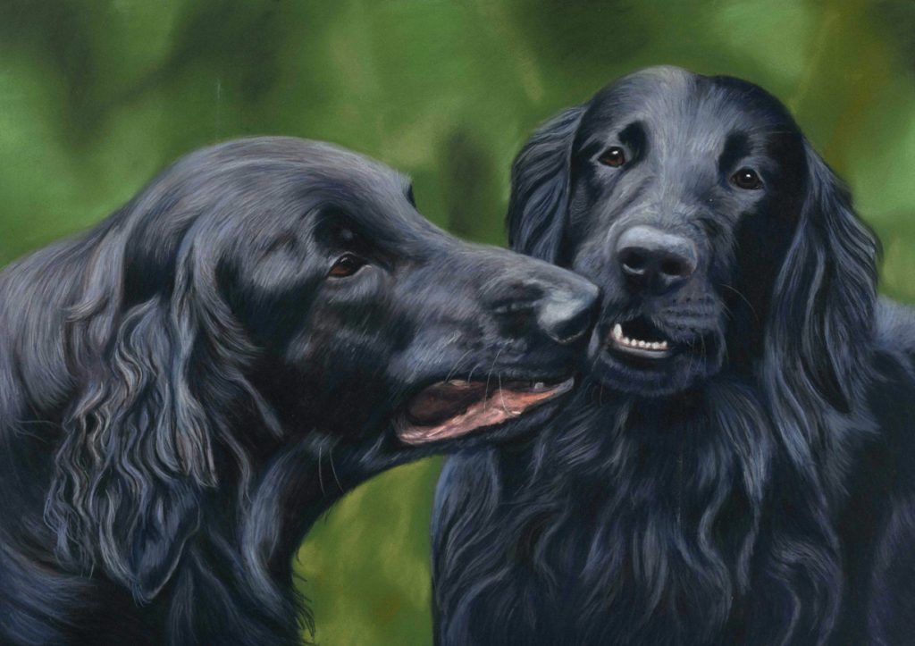 Pet portrait of two flat coat retrievers in pastels with a green background.