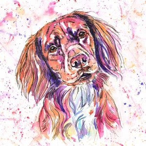 Digby, dog portait in Jolly Splashes watercolour style with pinks oranges and purples