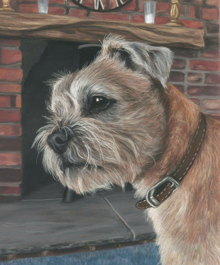 Border terrier pastel dog portrait of Bailey, sitting infornt of a log burner