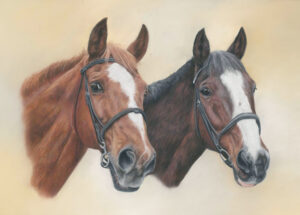 Double horse portrait in pastels with a yellow and cream background