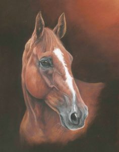 Chesnut horse portrait in pastels 