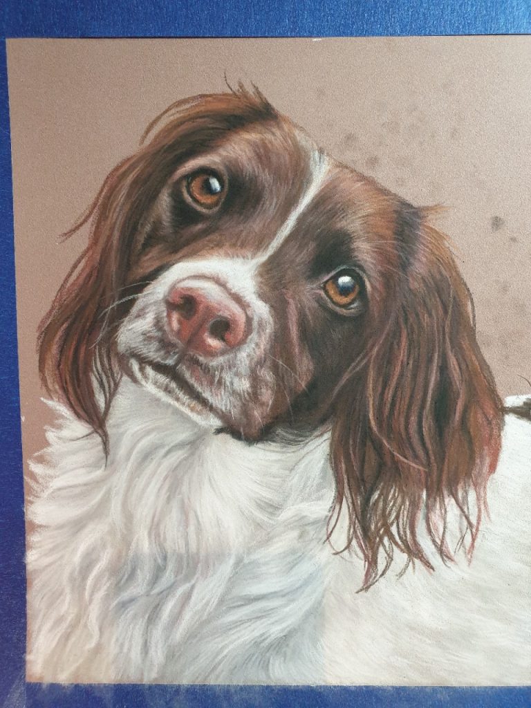 Holly's chest filled in and her pet painting pretty much finished except fot the background