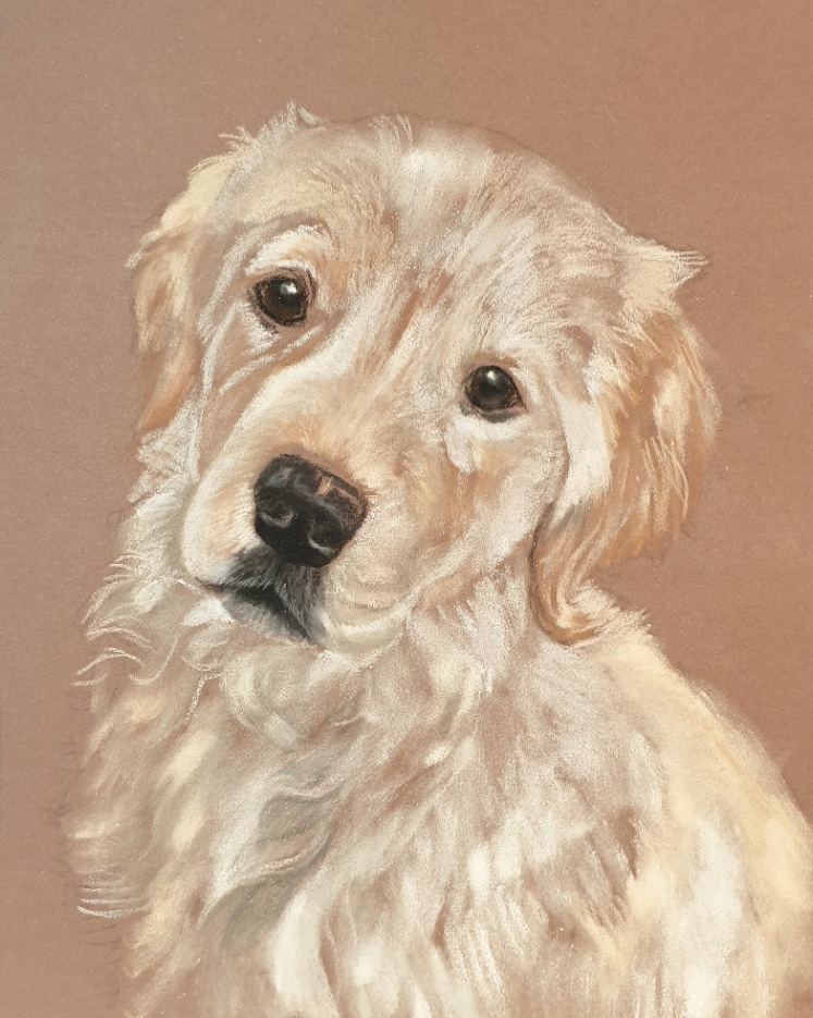 Mainly panpastels put down on Charlie's pet portrait before I add the background and detail