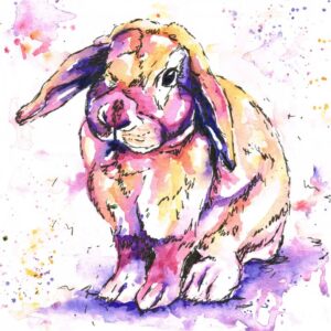 Jolly Splash Pet Portraits