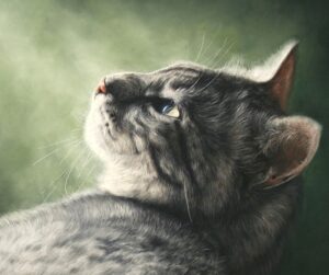 cat-pet-portrait