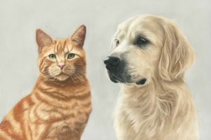 Cat and Dog pet portrait