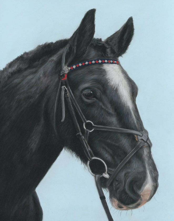 Double horse portrait in pastels with a yellow and cream background