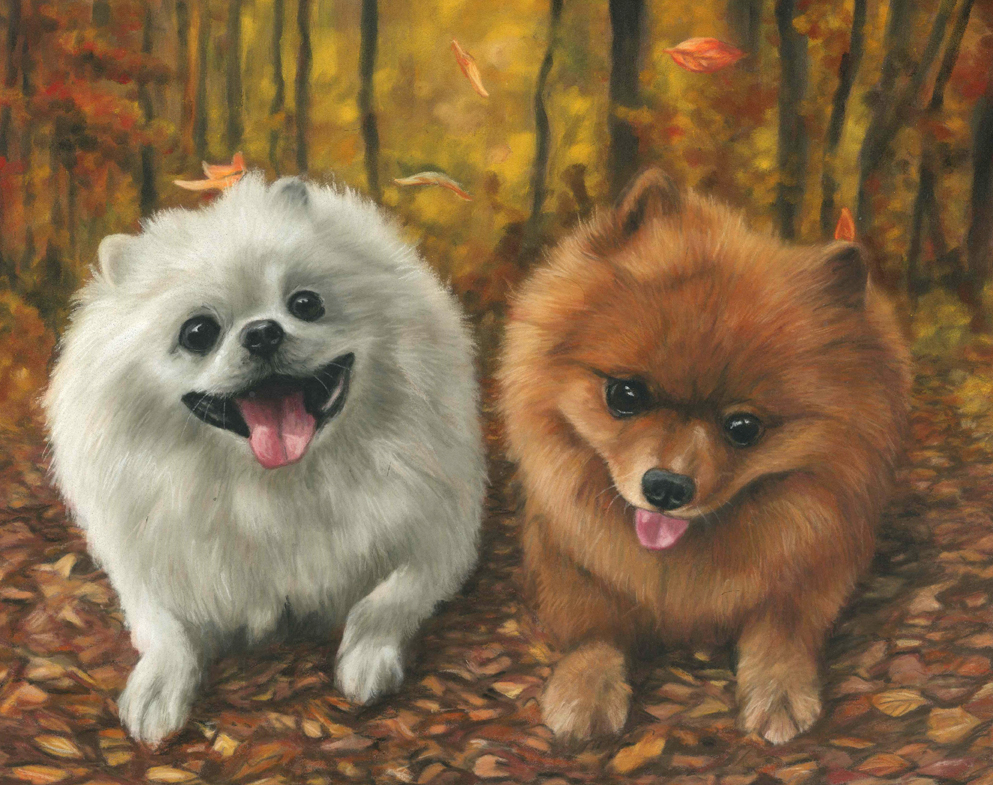 Kuma and Snowball small Double dog portrait