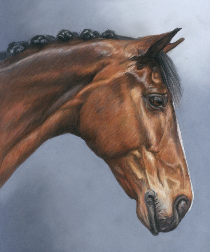 Horse portraits in pastels