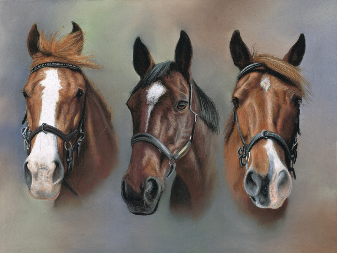 Triple horse portrait