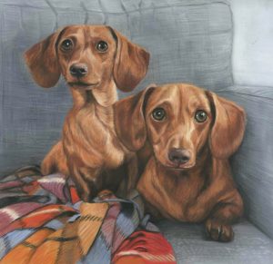 Double dog portrait