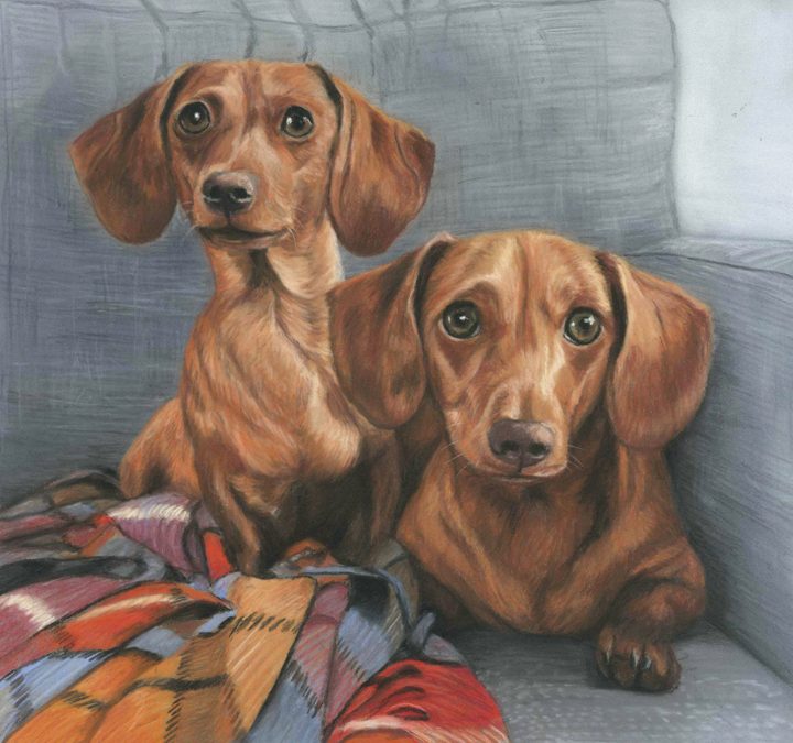 Double dog portrait