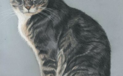 Pet Portraits That Have all Been Cat Portraits