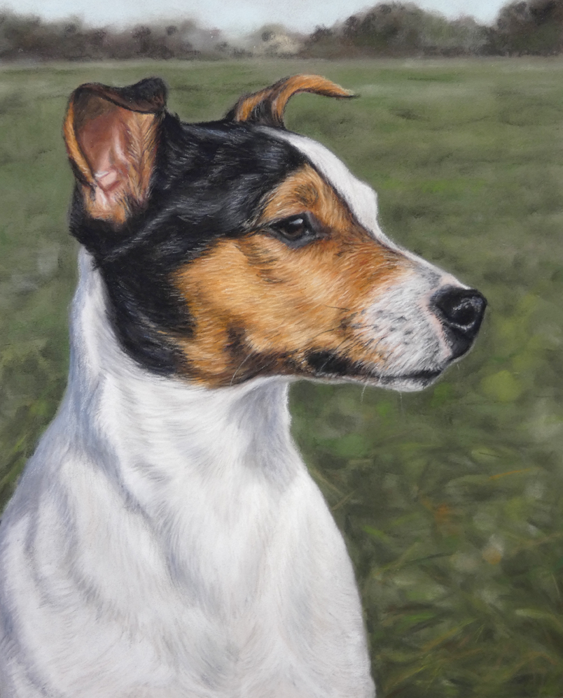 A pastel dog portrait of a jack russell Terrier