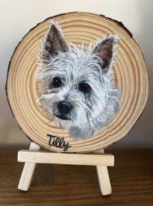 Pet portraits on wood slices. A white terrier dog portrait on a woodslice